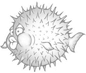 OpenBSD